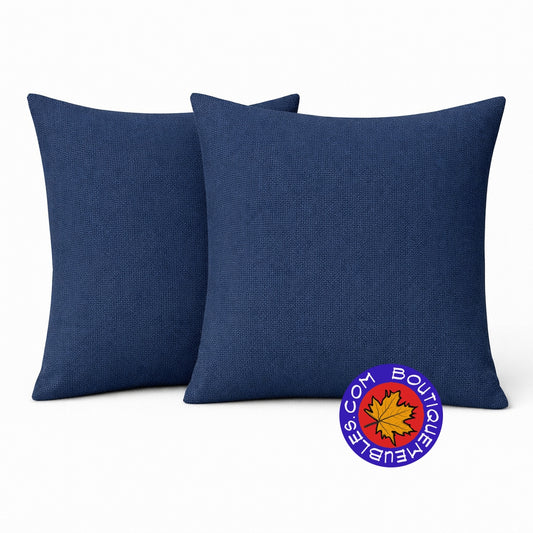 2 coussins décoratifs