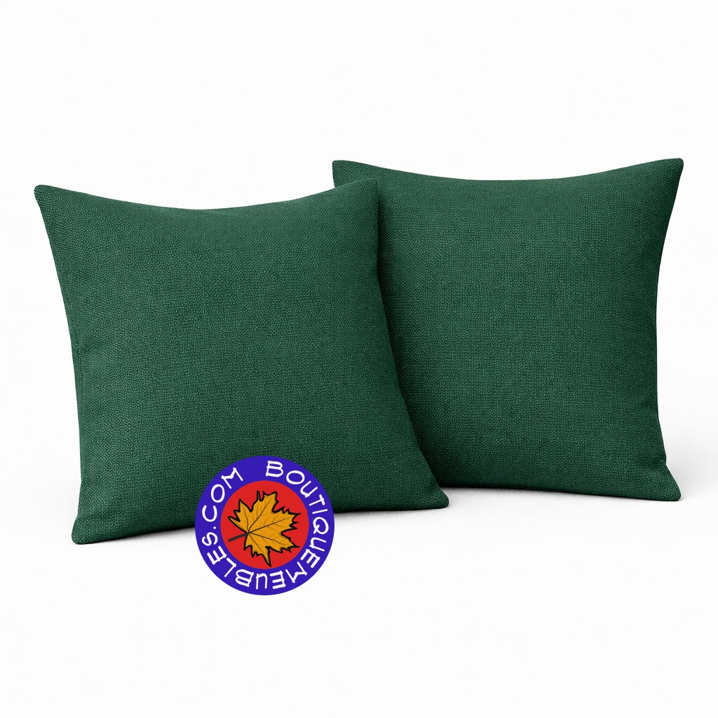 2 coussins décoratifs