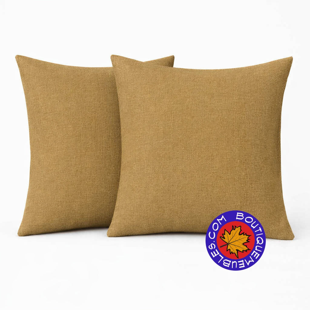2 coussins décoratifs