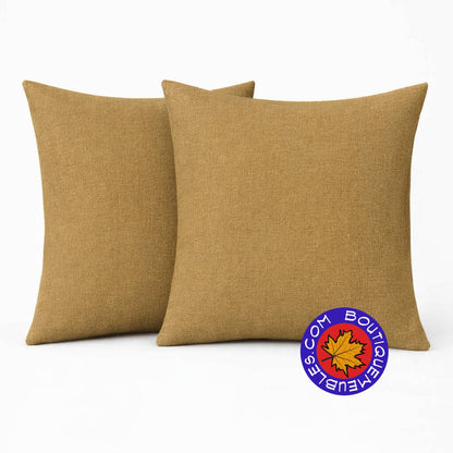 2 coussins décoratifs