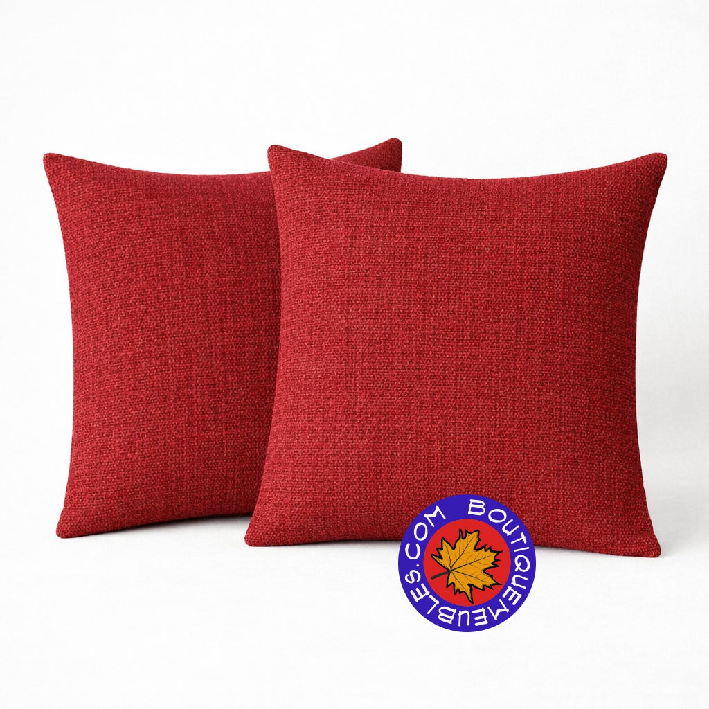 2 coussins décoratifs