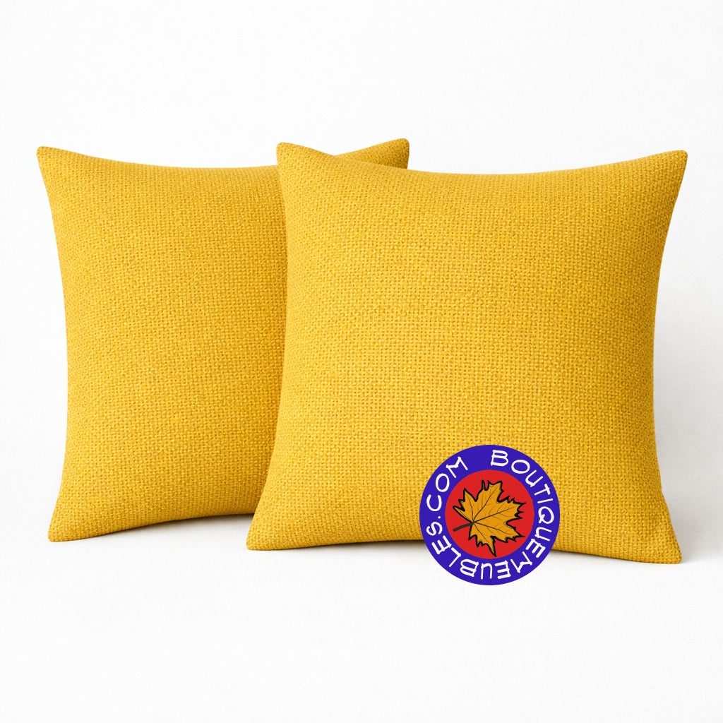 2 coussins décoratifs