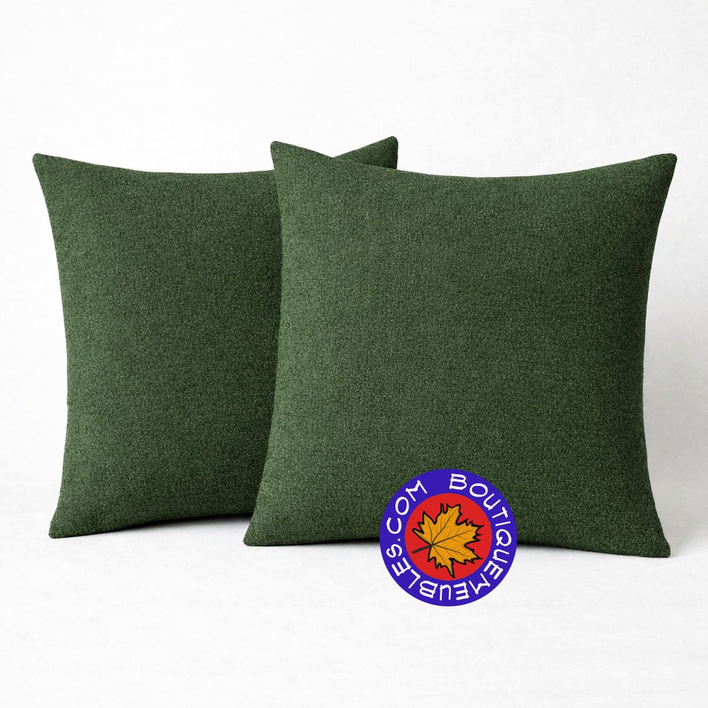 2 coussins décoratifs