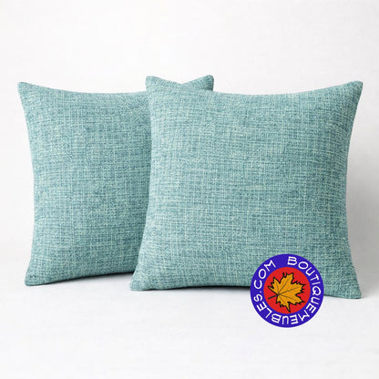 2 coussins décoratifs