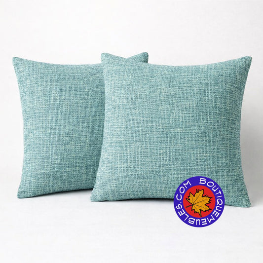 2 coussins décoratifs
