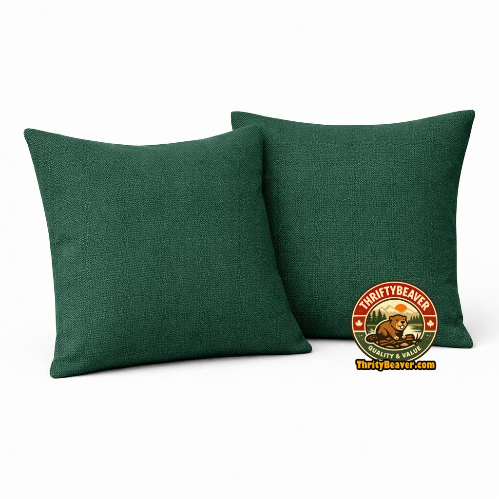 2 coussins décoratifs