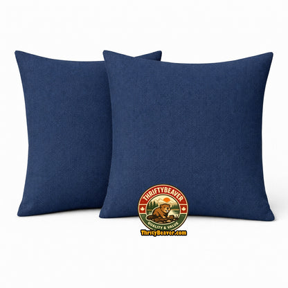 2 coussins décoratifs