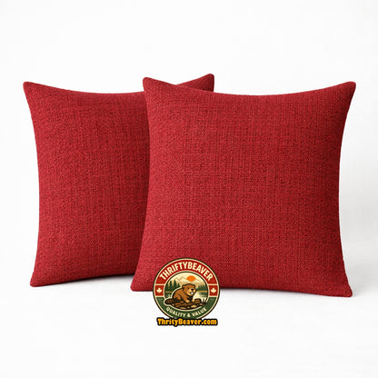 2 coussins décoratifs