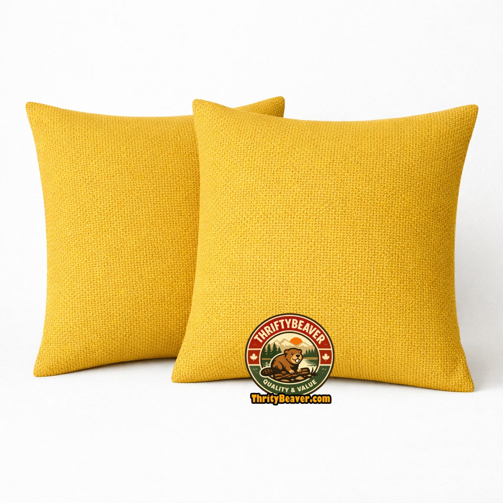 2 coussins décoratifs