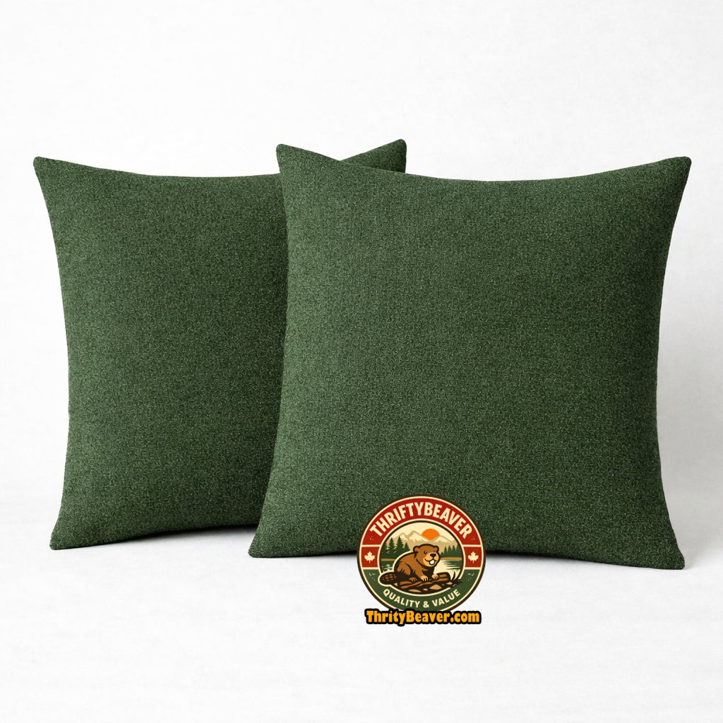 2 coussins décoratifs