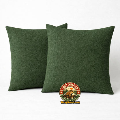 2 coussins décoratifs