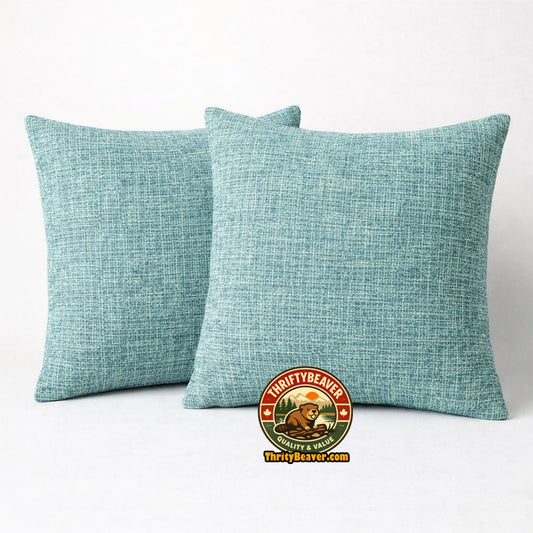 2 coussins décoratifs